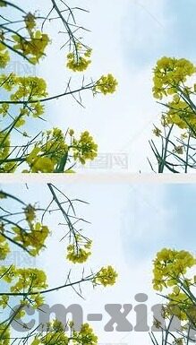 91视大象传媒-91视大象传媒，重塑数字娱乐的边界