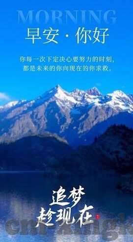 994成人免费视频-探索成人内容与网络文化的边界，理性视角下的994现象