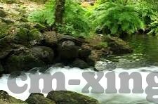 成人版短视频-成人版短视频，娱乐与信息的新兴交汇点