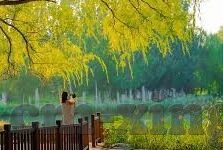 成人免费视频麻豆-探索网络文化的双刃剑，成人内容与平台的伦理界限
