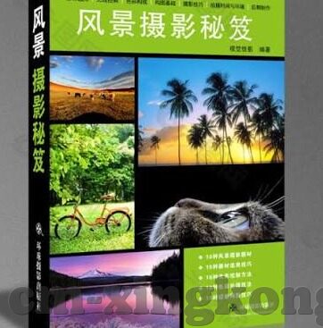大象传媒apppalilpali-探索大象传媒与PaliPali，数字时代的文化桥梁与创意交汇