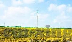 国产AV麻豆阿宾篇章八-国产剧的独特魅力，麻豆阿宾篇章八的深度体验