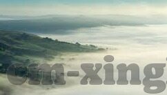 麻豆app官方版-麻豆app官方版，数字时代的创意与艺术交融平台