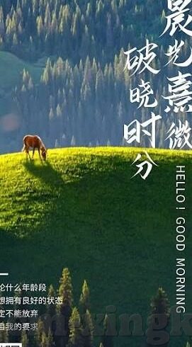 上海夜会dvd中文字幕版-夜上海的迷离光影，一部中文字幕版DVD的深度体验