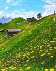 糖心app苹果版免费-深度探索糖心app在苹果系统的免费体验
