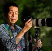 糖心vlog在线下载-解构糖心Vlog在线下载的数字娱乐新篇章