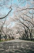 糖心直播官网安全下载-探寻安全的直播世界——糖心直播官网下载指南