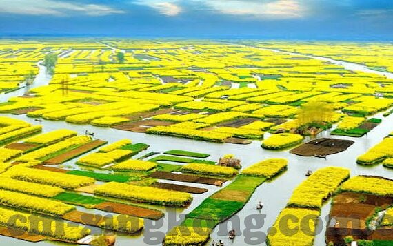 在线一区二区三区-探索互联网的多元化版图，一区、二区、三区的独特魅力